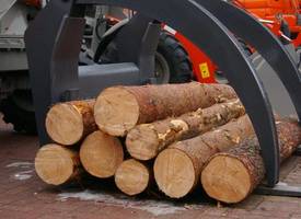 Łotwa: Spada eksport i ceny surowca drzewnego