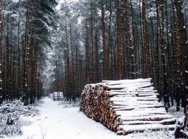 Komunikat PIGPD w sprawie bonifikat i inauguracji nowej KLD