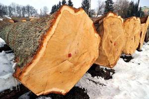 Submisja drewna w krośnieńskiej RDLP