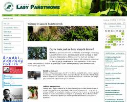 Lasy Państwowe będą promować się w internecie