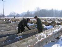 Sukces X Submisji Drewna Cennego w RDLP w Krośnie