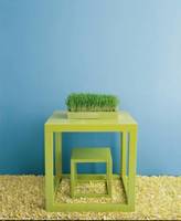 Gruntoemalia Iron Clad ® Metal & Wood 