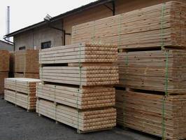 Nowe wytyczne  FSC zaostrzają nadzór nad drewnem kontrolowanym