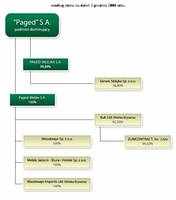 Paged przedstawił prognozę na lata 2009-2010