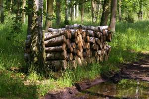 W Polsce brakuje biomasy