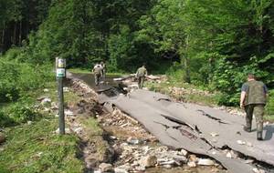 Lasy Państwowe liczą straty po powodzi