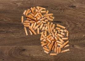 Barlinek: Rekordowa sprzedaż w czerwcu