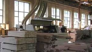 Klon poprawia wyniki