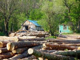 PIGPD: Lasy Państwowe próbują ustanowić dyktaturę