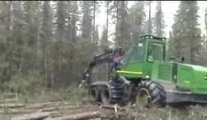 Centrozap dostarczy drewno Słowakom