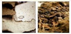 Roo Poo Paper - gotowy produkt i surowiec