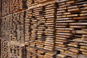 Spotkanie przedstawicieli rządu z Zespołem Negocjacyjnym Przemysłu Drzewnego