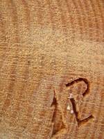 Lasy odpierają zarzuty PIGPD 