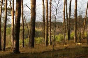 Informacja dla Premiera o złożonym na ręce Marszałka Sejmu proteście