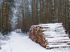 PIGPD: Komunikat w sprawie przebiegu spotkania w Ministerstwie Środowiska