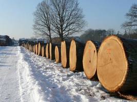 Wyniki submisji w RDLP we Wrocławiu