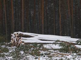 PIGPD skierowała pismo do Prezesa UOKIK