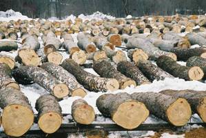 XI Submisja Drewna Cennego Krosno 2010 