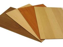 Hardex planuje wypłacić dywidendę za 2009r.