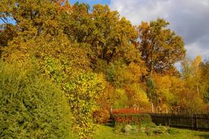 Globalny Raport Ogrodniczy 2010