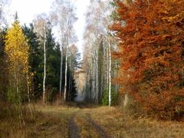Natura 2000 tematem posiedzenia Komisji Środowiska Senatu