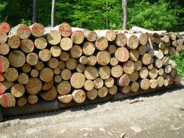 Mniej kradzieży drewna w RDLP Krosno