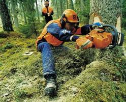 I Regionalne Zawody Drwali - Studentów Wydziałów Leśnych