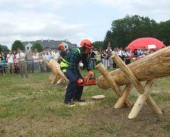 Zawody drwali w Przemyślu