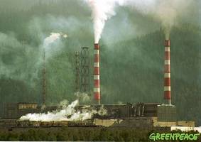 Sąd podtrzymał decyzję Putina ws. fabryki nad Bajkałem