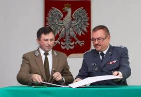 Więźniowie będą pracować w lesie 