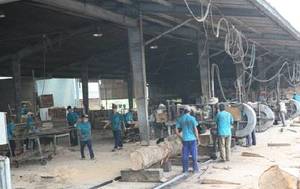 Wietnam: Pierwszy supermarket z tarcicą 