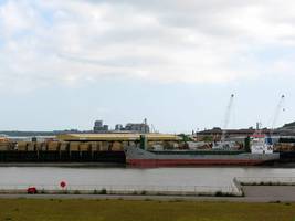 Fiński przemysł drzewny odzyskuje kondycję