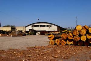 Przemysł drzewny przedstawił premierowi petycję