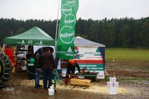 Pokazy pracy pilarek na stoisku firmy InterForst