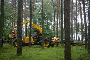 Highlander świetnie radzi sobie z pozyskaniem i zrywką drewna o dużych średnicach