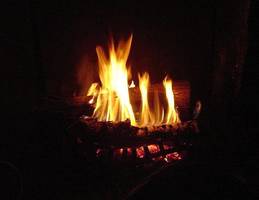 Konferencja: Drewno = energia. Prawo, technika, szanse i zagrożenia