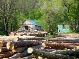 PIP skontroluje ZULe i zakłady przetwórstwa drewno