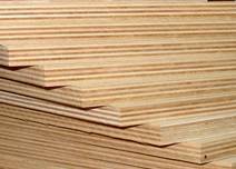 Sklejka-Pisz w rękach Pagedu