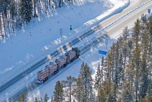 One More Pile - przyszłość transportu surowca drzewnego?