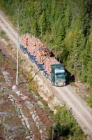 One More Pile - przyszłość transportu surowca drzewnego?