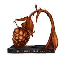 Lasy Państwowe i dyrektor generalny LP nominowani do Gospodarczej Maliny 2010