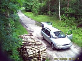 Kamery zainstalowane w lesie pomagają zidentyfikować sprawców kradzieży drewna