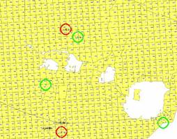 Greenpeace zapowiada bezpośrodnie akcje skierowane przeciw wycince Puszczy Białowieskiej