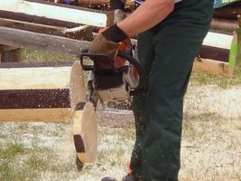 III Mistrzostwa Polski w Umiejętnościach Leśnych