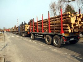 Ok. 80 ciężarówek wzięło udział w poniedziałkowym proteście w Kwidzyniu