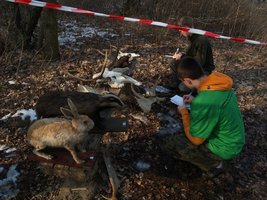Bieg na orientację - stanowisko łowieckie