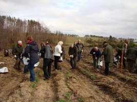 Usuwanie skutków klęsk żywiołowych w lasach prywatnych