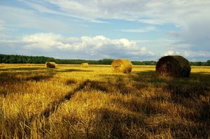 Widok Energia: Sukces emisji obligacji przed debiutem na NewConnect