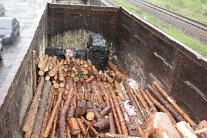 Paczki z papierosami ukryte w wagonach z drewnem