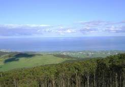 Certyfikacja usług leśnych: Sukces pilotażowego projektu w Hiszpanii